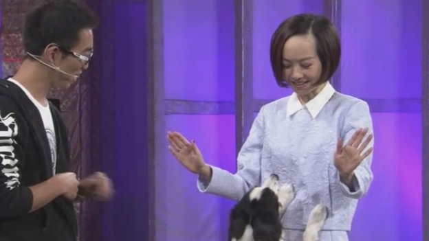 鲁豫有约|萌犬闹新春20180220（完整版）