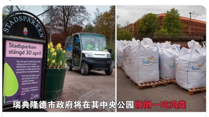 狠！瑞典在节日前夕往公园投放一吨鸡屎 防止人们聚集
