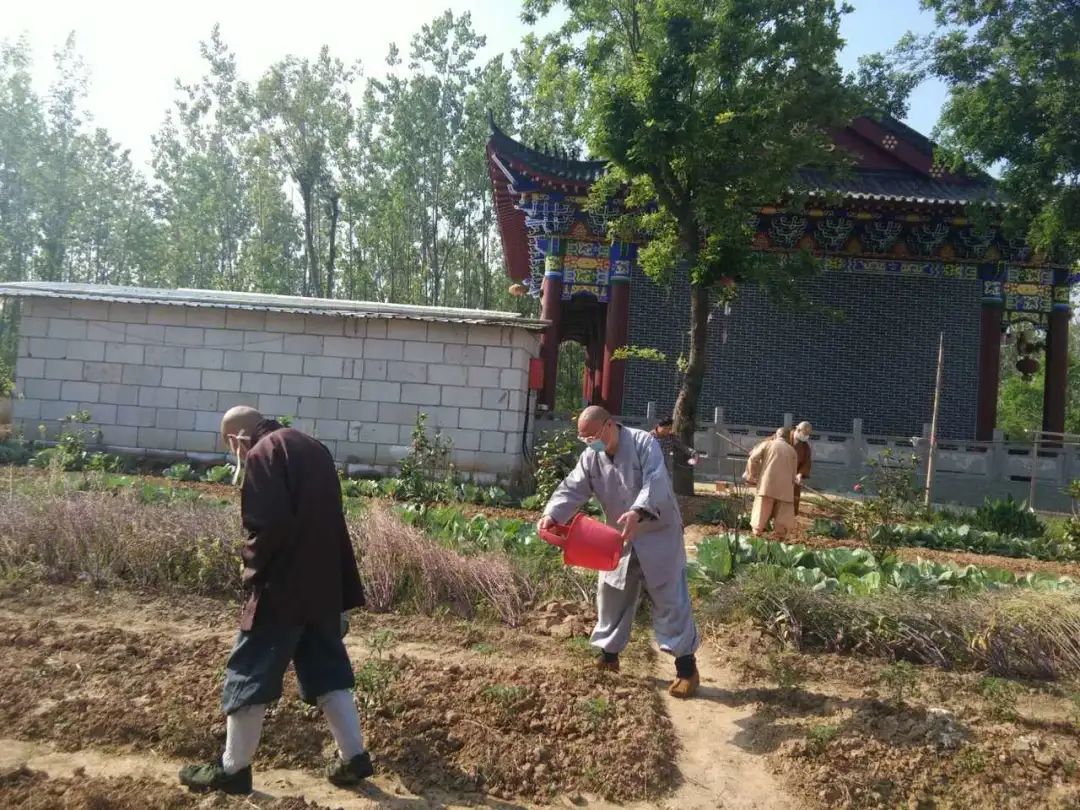 靈泉寺古德寺蓮溪寺歸元寺寶通寺須臾之地,也有萬千風景但法師們依然