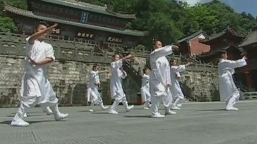 张三丰观鹤蛇相争而悟太极之理 由此创造了太极拳！