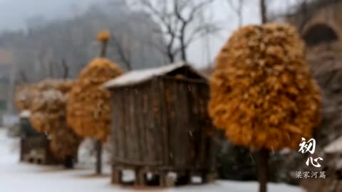 时政微视频《初心》之梁家河篇