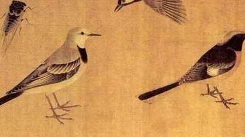观鸟时,古人想到了什么?_凤凰网