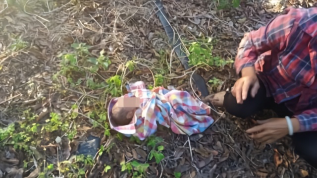 风险!泰国弃婴"洋洋洒洒"-第2张图片-康峰博客