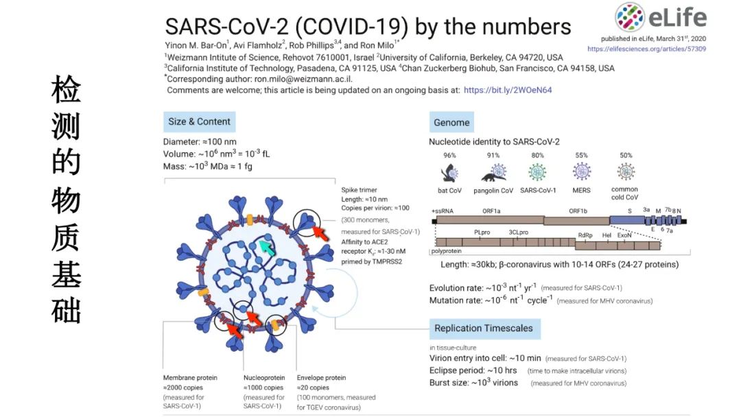 C2CB2A30B35BE631259D3120E18E2D9C757B598C_w1080_h608.jpg