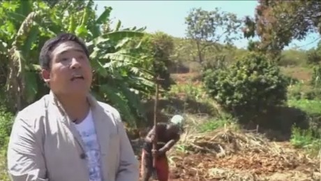 莫桑比克迎来机遇 中方派专家助力生姜种植 