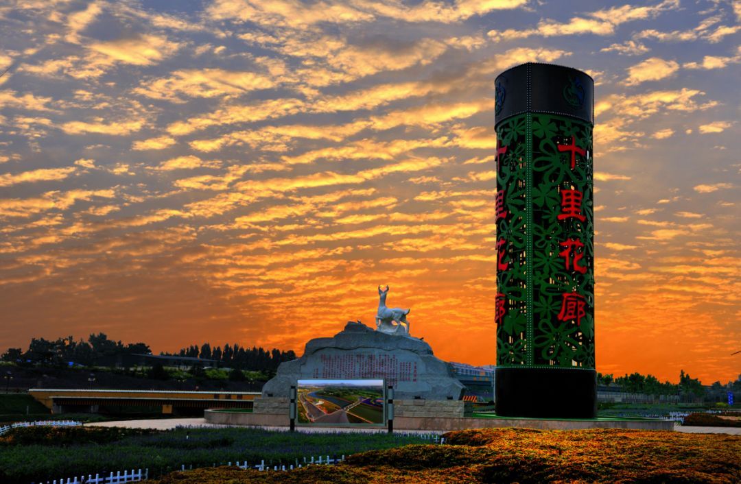 城市的远见深耕七载用行动鉴行美好城市梦想