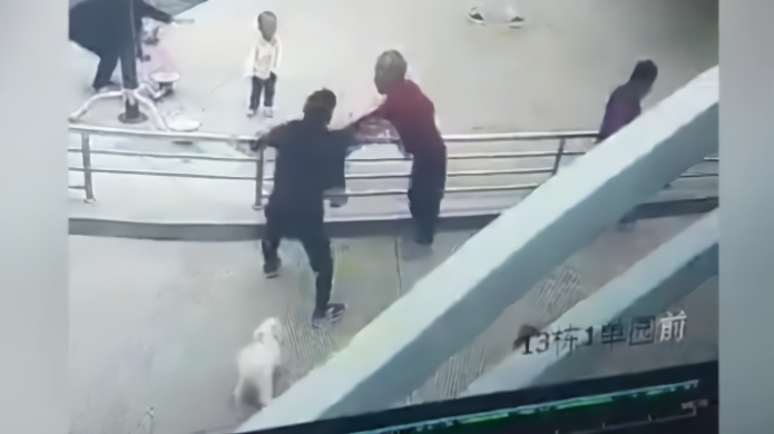 78岁老人遛狗被打翻在地 警方通报：狗追咬路人引不满