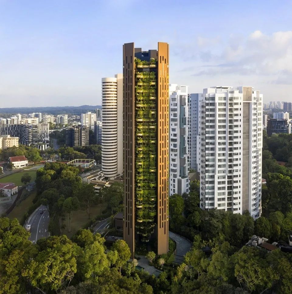 新加坡住宅楼图片