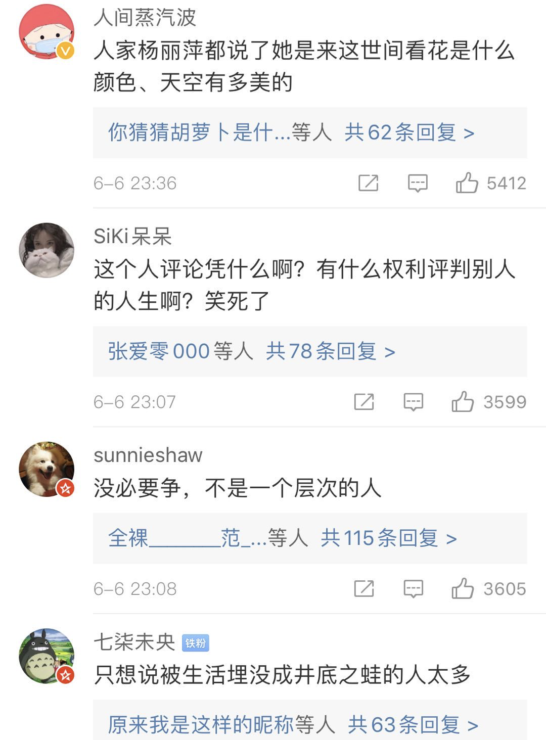 知名舞蹈家杨丽萍被讽“最大的失败是没孩子”，网友吵翻了 图6