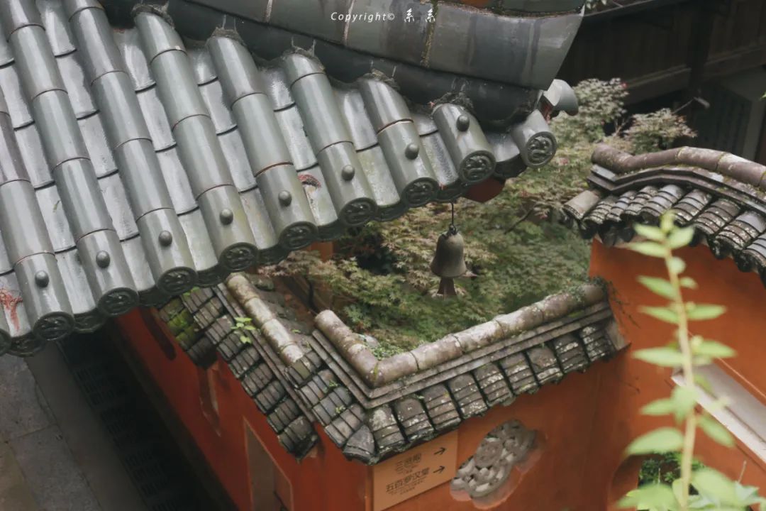 留园网 在散装台州 天台县的好吃居然只有他们自己知道 6park Com