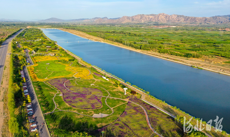 2020年6月10日，美丽的张家口涿鹿县桑干河畔滨河公园（无人机拍摄）。