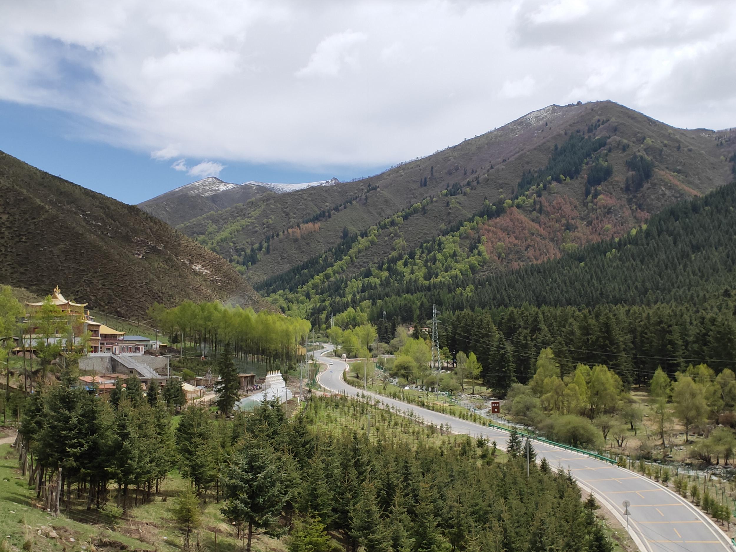 青海省上北山森林公园景色.