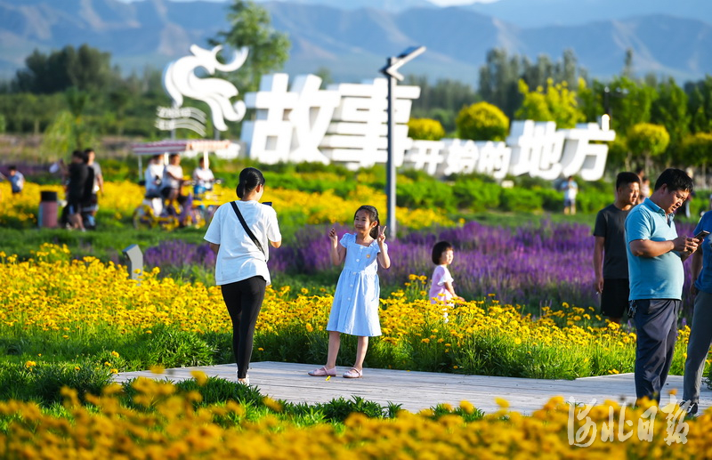 2020年6月10日，在张家口涿鹿县桑干河畔滨河公园，游客们在观赏游玩。河北日报记者 耿辉 史晟全 摄影报道
