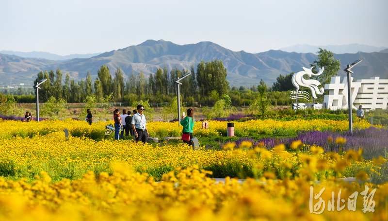 2020年6月10日，在张家口涿鹿县桑干河畔滨河公园，游客们在观赏游玩。