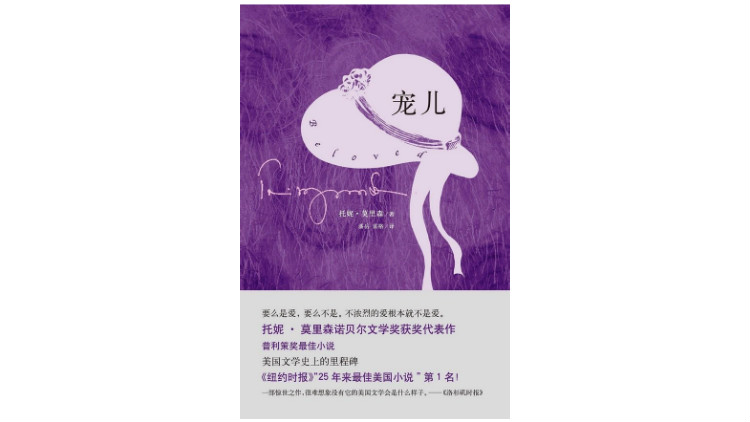 《宠儿》托妮&middot;莫里森著，潘岳、雷格译，南海出版公司，2013年6月