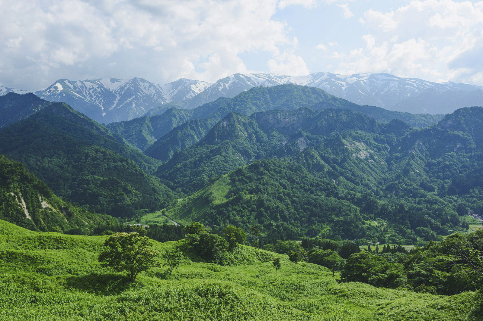 山川,温泉,美酒,跟着"长效设计之父"前往山形