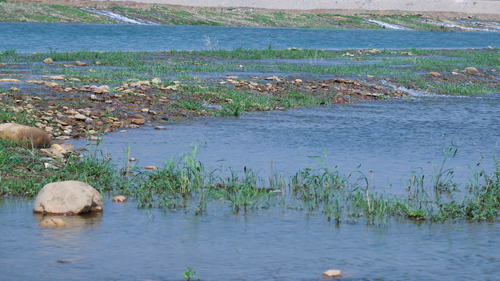 河水清，燕子归，元氏“母亲河”扮靓村屯，百姓生活更舒心