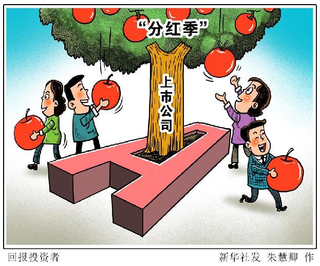 （图表·漫画）［财经聚焦］回报投资者