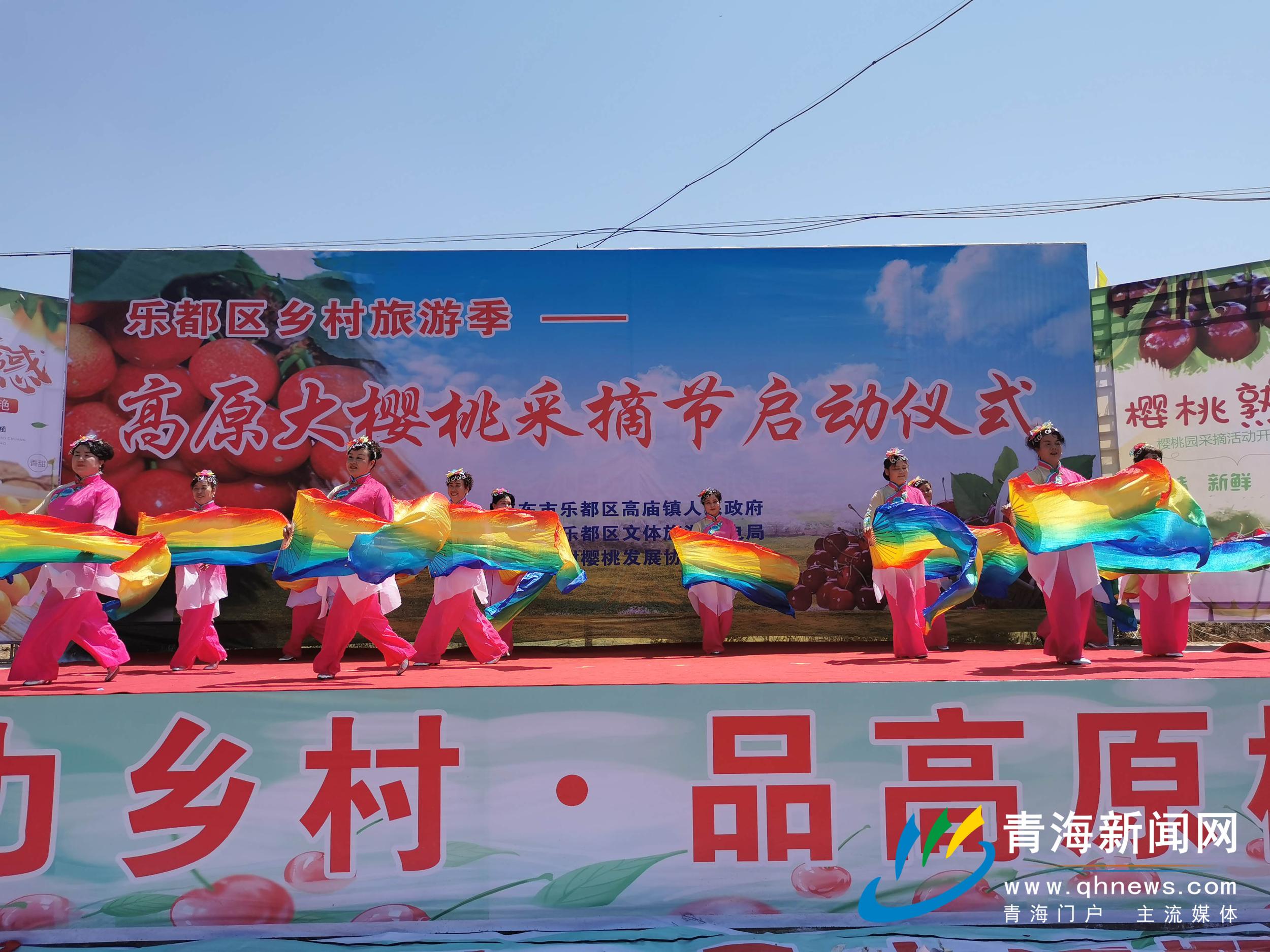 青海樂都鄉村旅遊季高原大櫻桃採摘節舉行