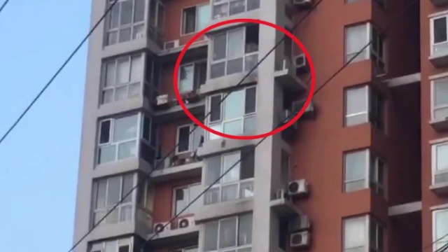 北京男子13楼家中扔出花盆被刑拘
