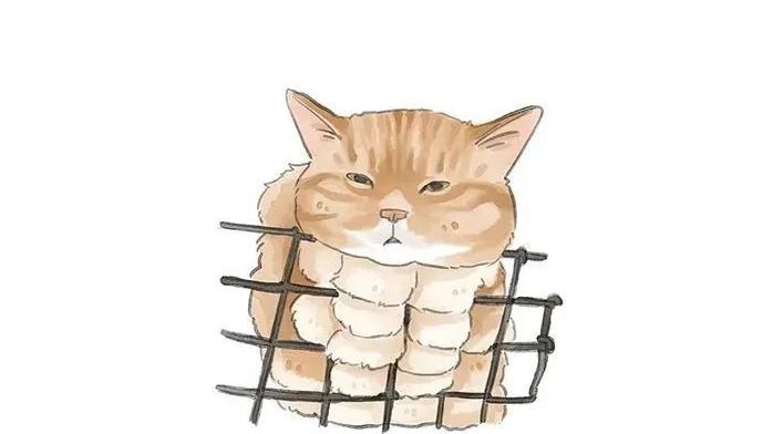 AAAD3EEAC05C3A9BDB837A23A915EA