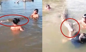 4名儿童河中拖拽鳄鱼嬉戏 家长在一边拍视频
