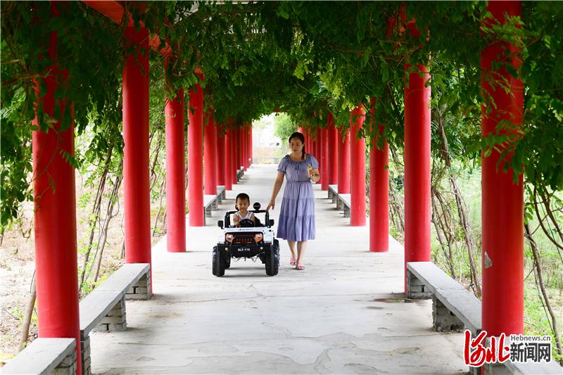 2020年7月8日，河北省邢台市南和区和阳镇巩庄村村民在村头长廊里散步。 2020年7月8日，河北省邢台市南和区和阳镇巩庄村村民在村中游园休闲。 通讯员 杨献波 摄影报道