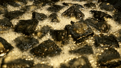 老干妈黯然失色！张艺兴吹爆的这座美食之城，胖子们根本不敢靠近半步！