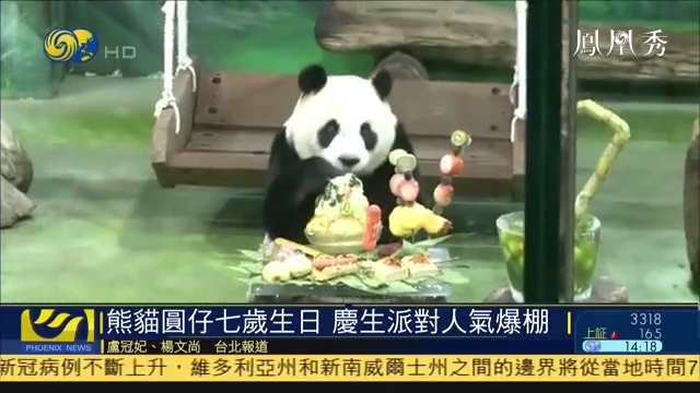 熊猫圆仔七岁生日，庆生派对人气爆棚