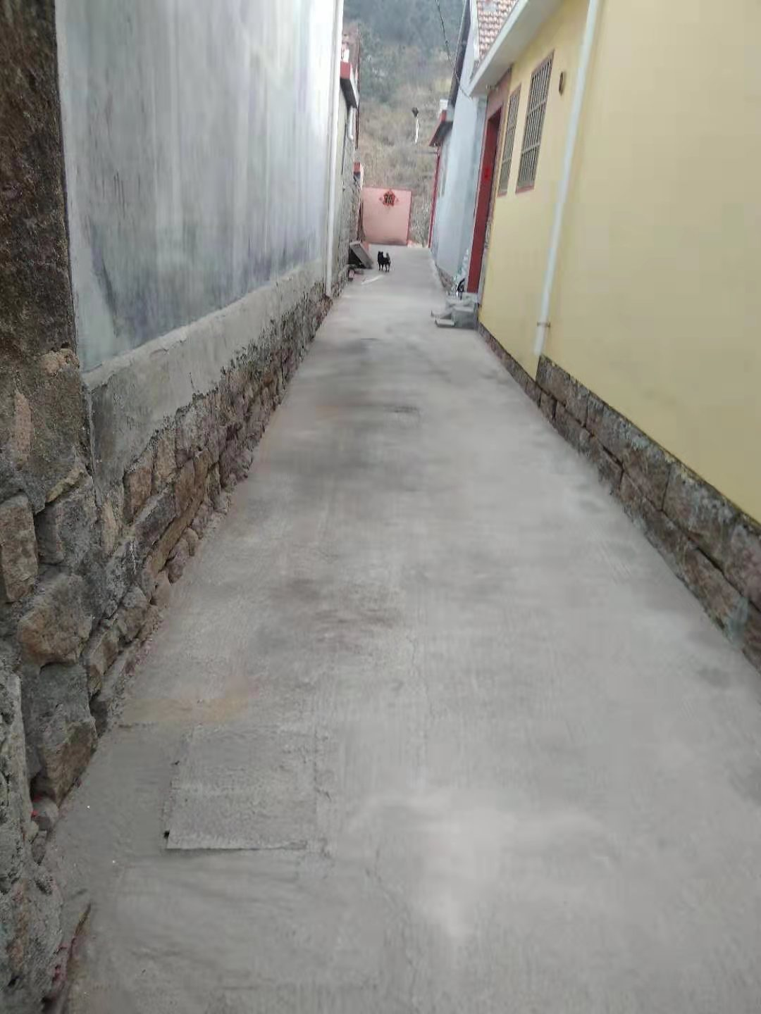 北宅街道五龙社区:整治人居环境 描绘乡村振兴"新画卷"凤凰网青岛