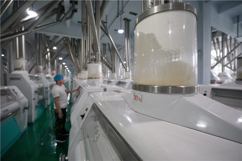 沙河小麦深加工带动就业促增收