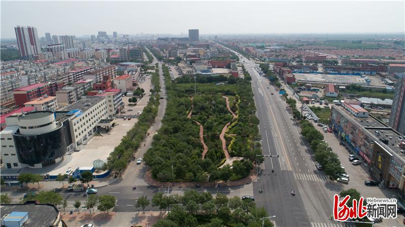 河北黄骅：打造“口袋公园”让市民畅享绿色