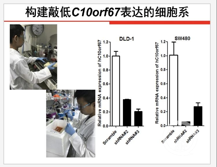 ▲陈某石同学在基因实验中。图片来源/全国青少年科技创新大赛官网