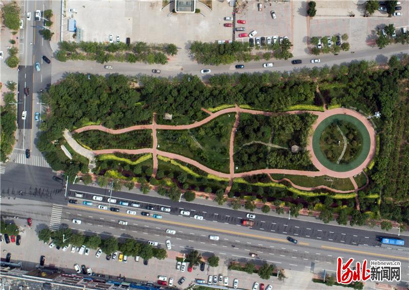 河北黄骅：打造“口袋公园”让市民畅享绿色