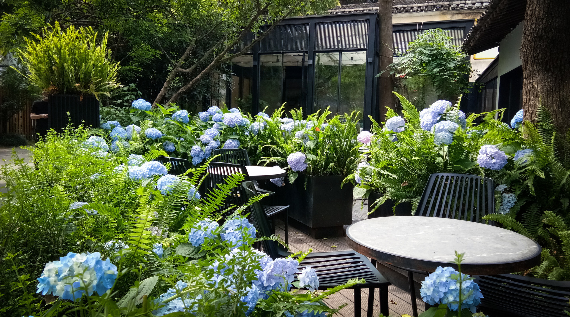 西安这个村家家都种花，有人花20年时间把家整成立体花园，太美了