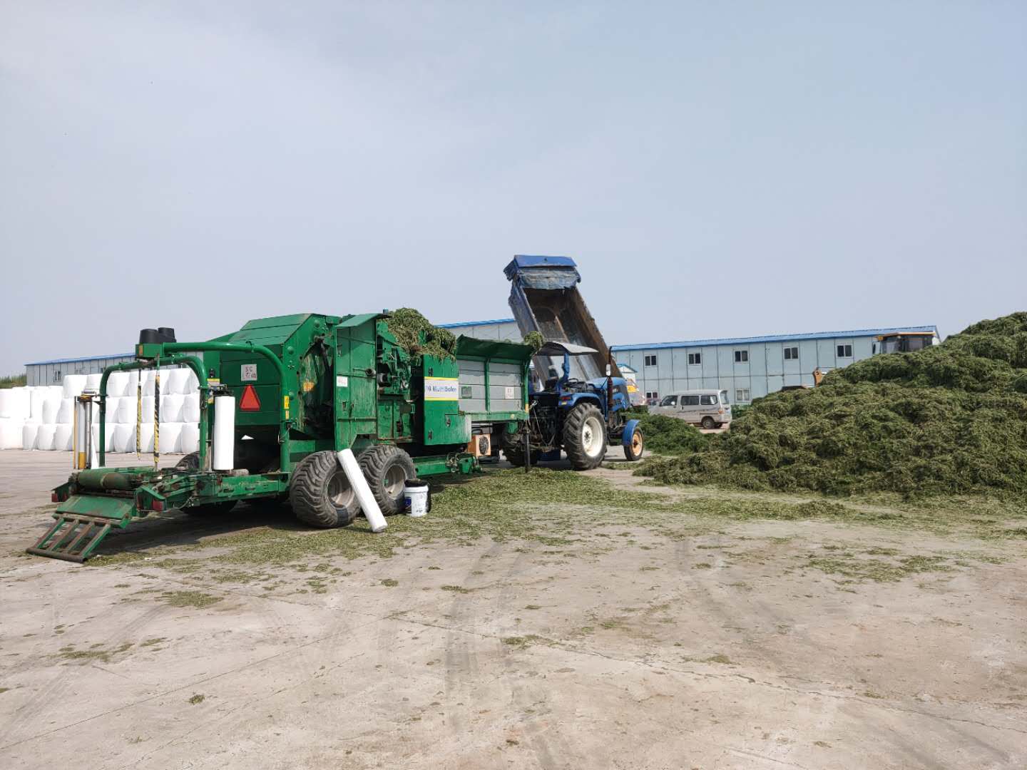 苜蓿收储全程机械化 各方联动打造全产业链