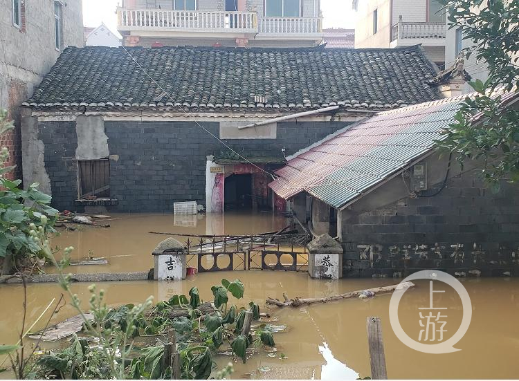 江西鄱阳问桂道圩堤决口120米,洪水淹没村庄,村民划船出行