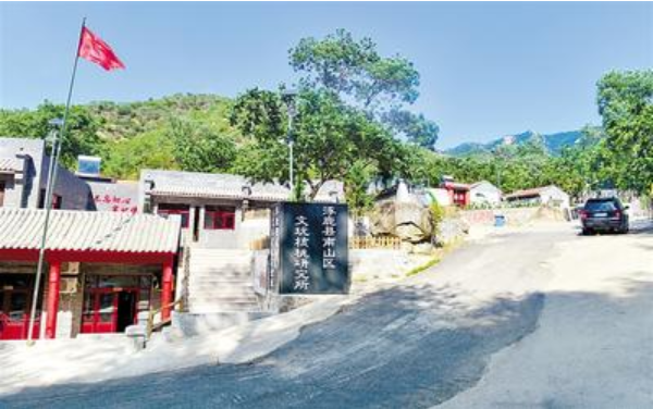 一棵生长在阴坡台地上的野生狮子头文玩核桃树，在山中凉爽舒适的气候中，摇曳着婆娑身姿，褐色的叶子随风舞动。