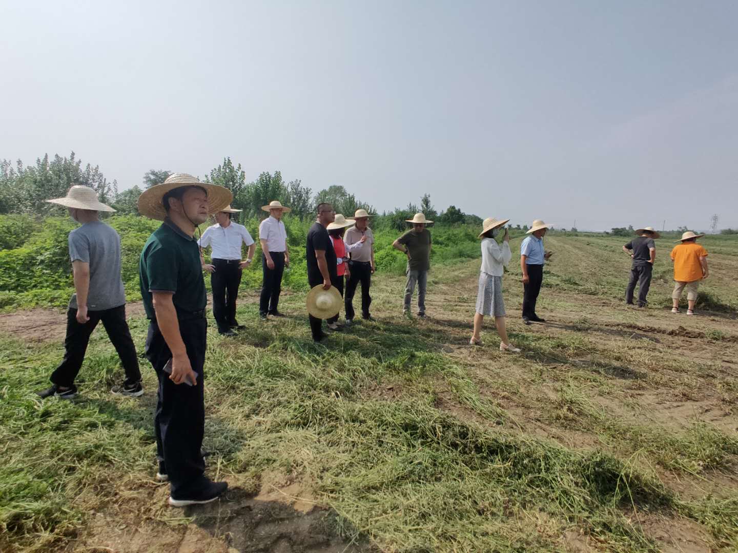 苜蓿收储全程机械化 各方联动打造全产业链