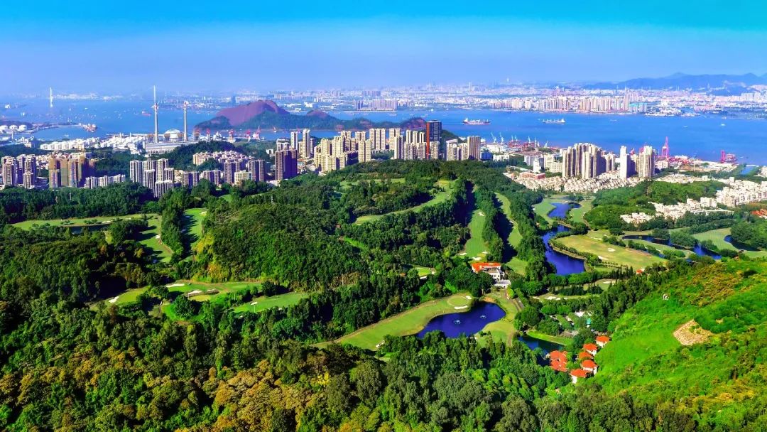 南沙流入人口_大理人口流入量图片