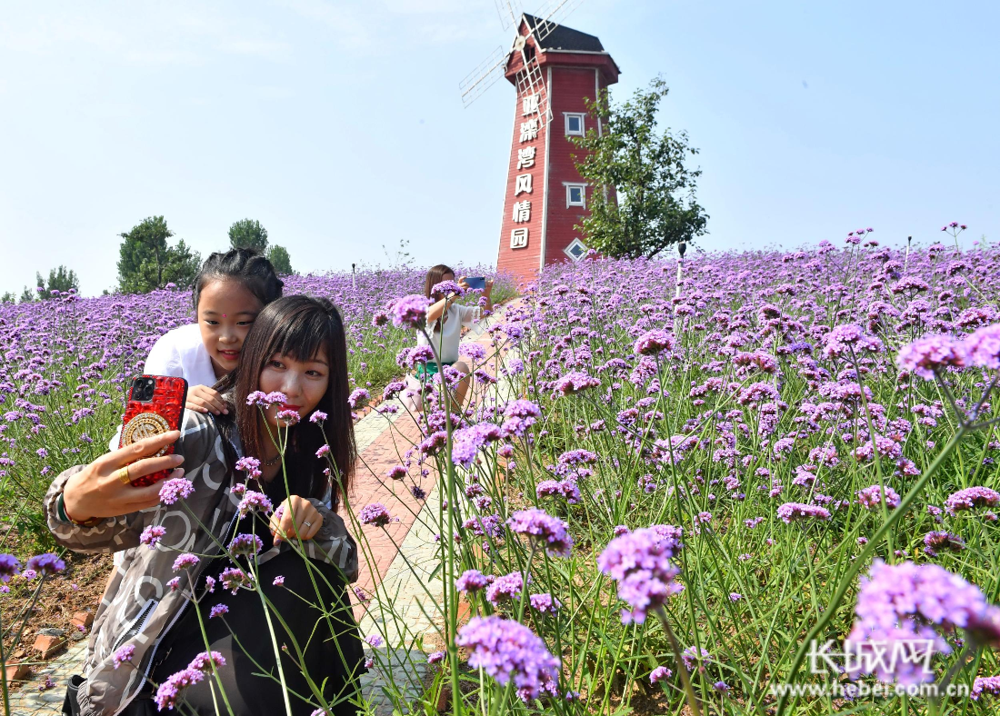 唐山遷安花海醉遊人