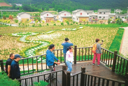 移民新村风光好