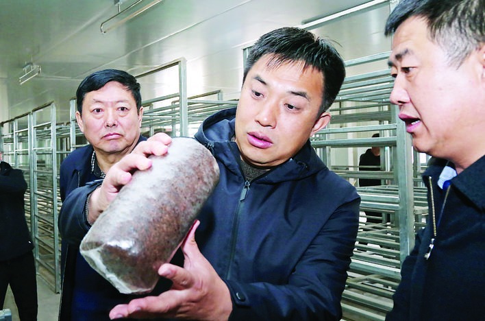 中阳县黑木耳做成富民强县大产业