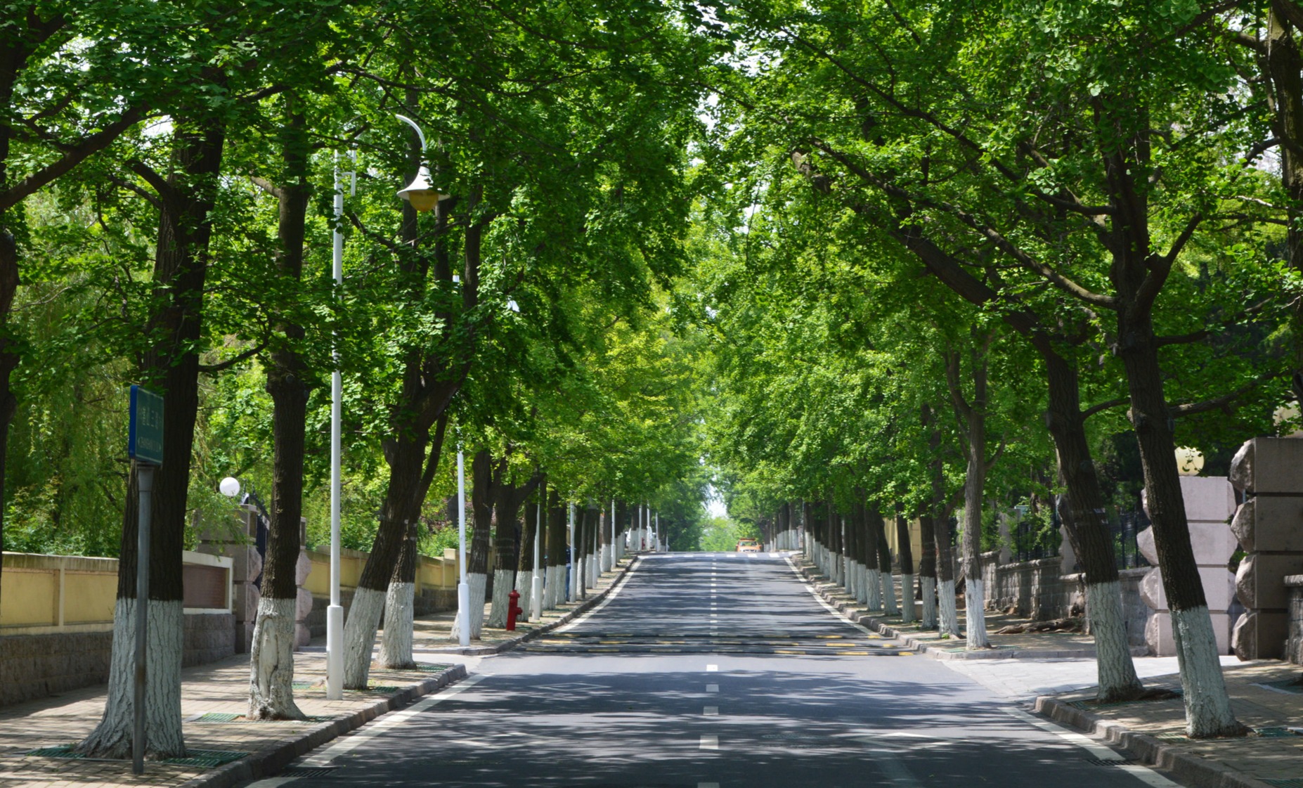 夏日八大关：快来这里避暑养眼！