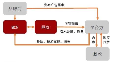 MCN机构运作方式。