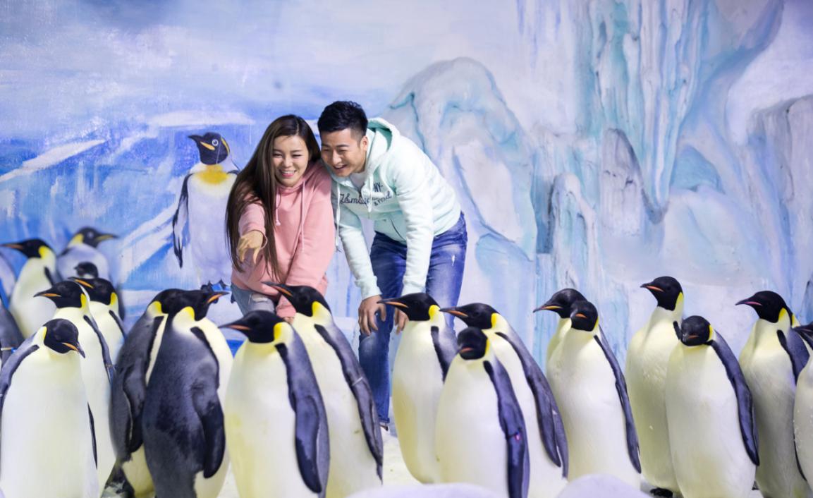 朋克|朋克海洋节炫酷来袭，7月25日鲸奇夜场正式开放