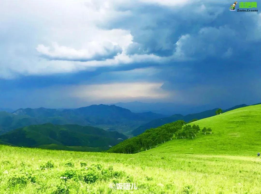 һձʤس羰żҽ磬֪