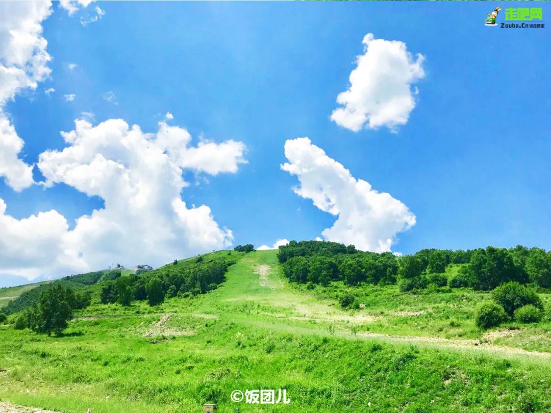 һձʤس羰żҽ磬֪