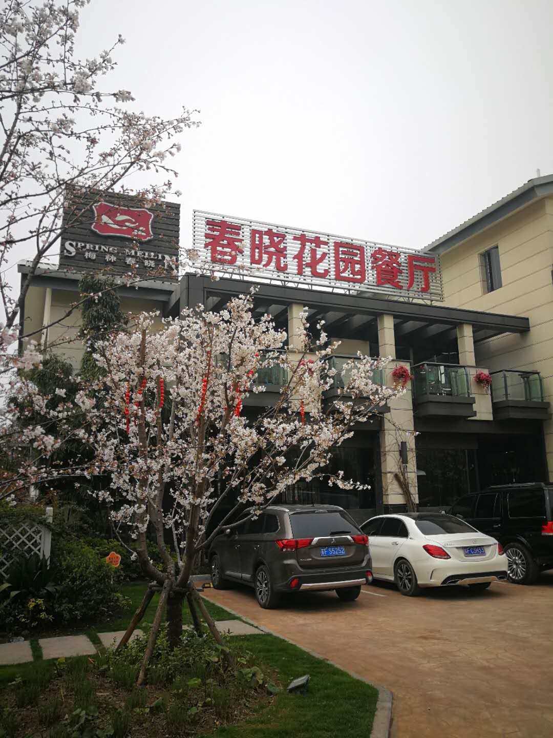 金梧桐提名餐厅丨梅林春晓花园餐厅