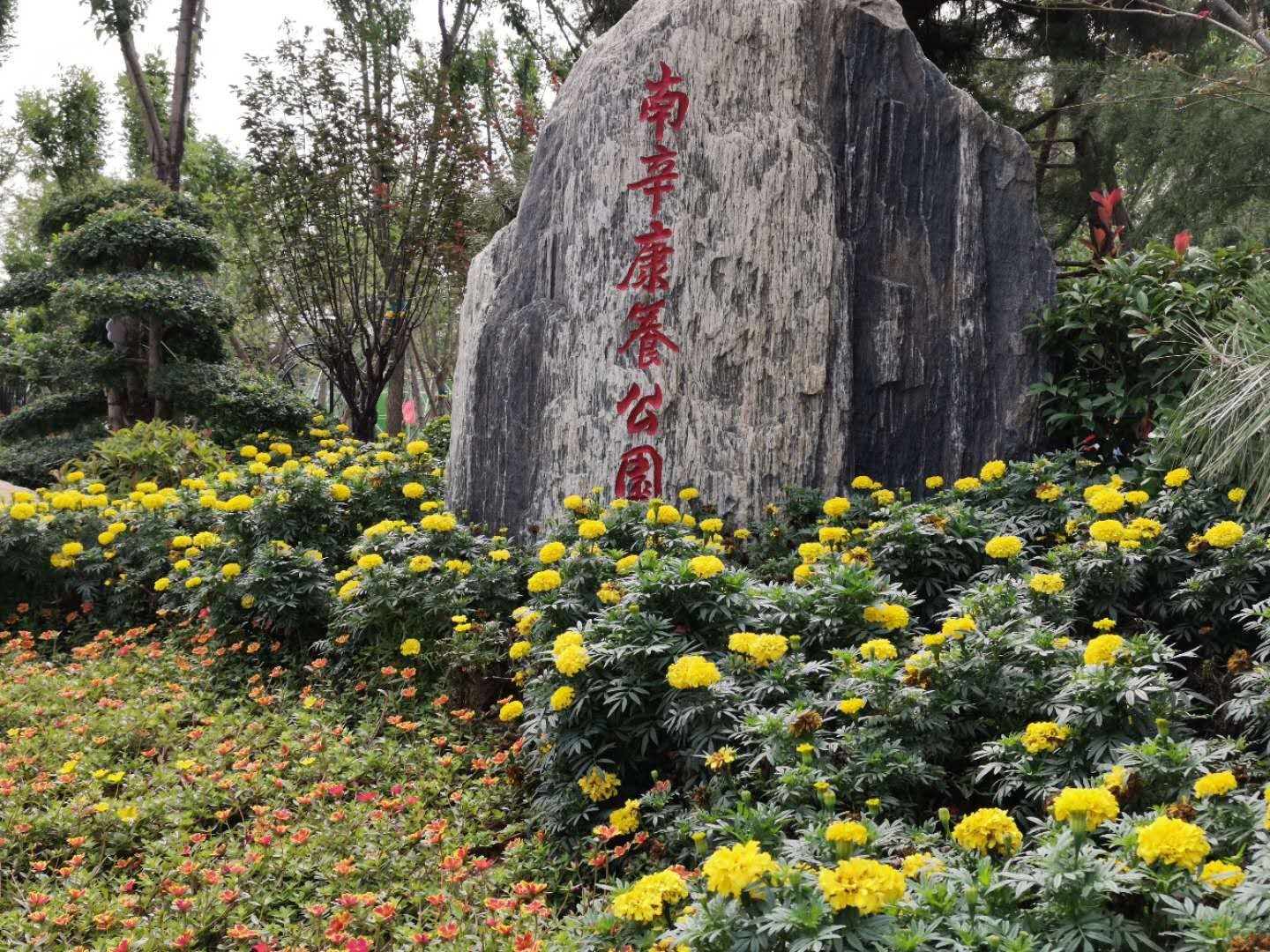 槐荫区17000平米的康养公园拍了拍你，位置在这里！